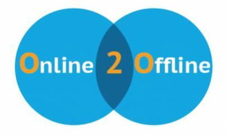 微盛科技与网盛科技视角下的中国移动电商市场年度报告 趋势、挑战与未来机遇